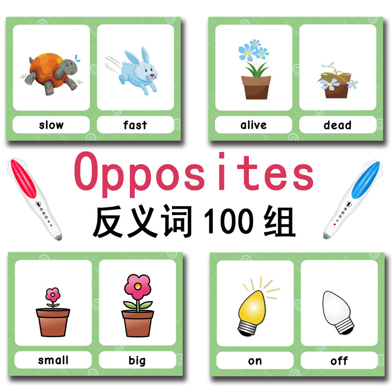 The 100 Groups Opposites Flash - Kids Education School review and price