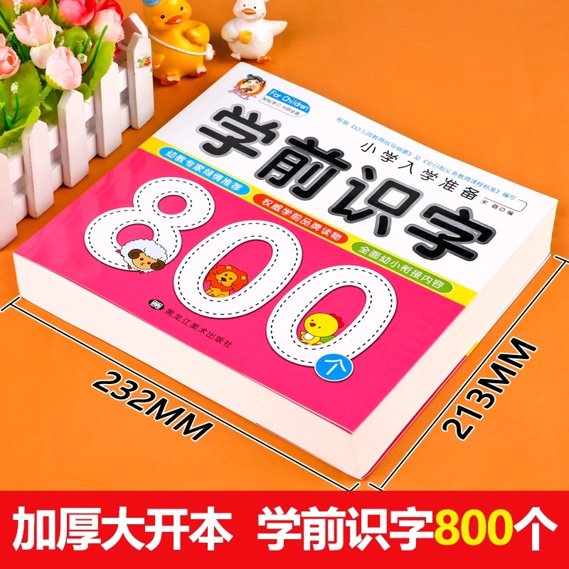 Preschool Literacy: 800 Chines - Kid Education review and price