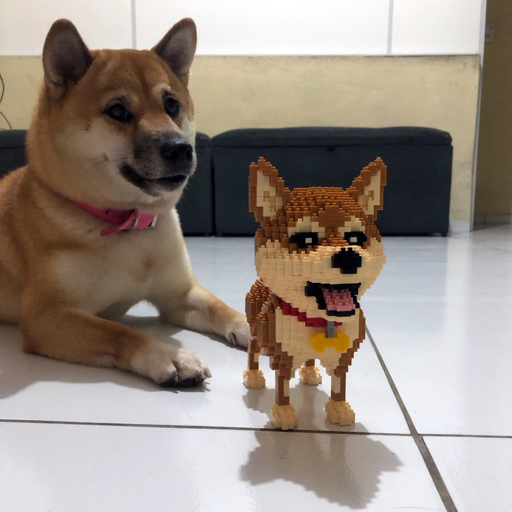 KNEW BUILT Shiba Inu Dogs Mode - Kids Education Recreation review and price