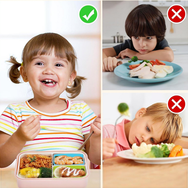 8PCS Silicone Lunch Box Divide - Kids Education School review and price