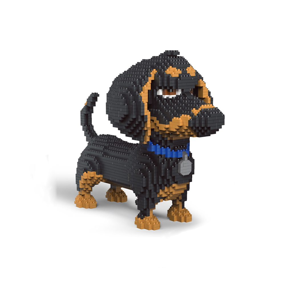 Celebrate Your Love for Dog wi - Kids Education Recreation review and price